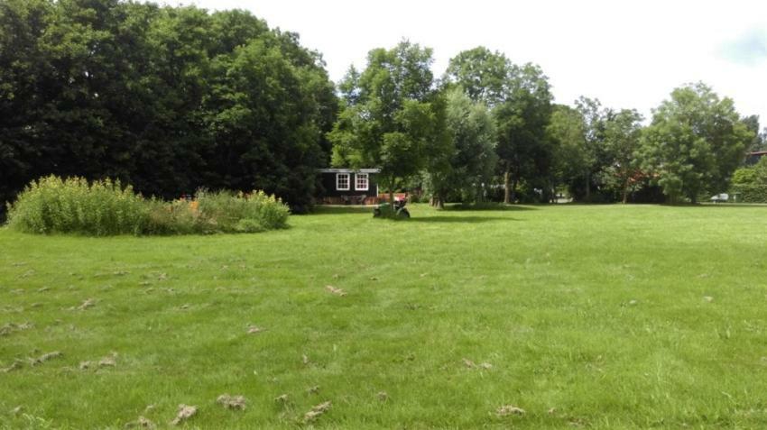 Pipowagen In Het Groen De Cocksdorp  Exteriör bild