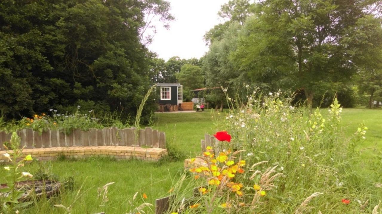 Pipowagen In Het Groen De Cocksdorp  Exteriör bild